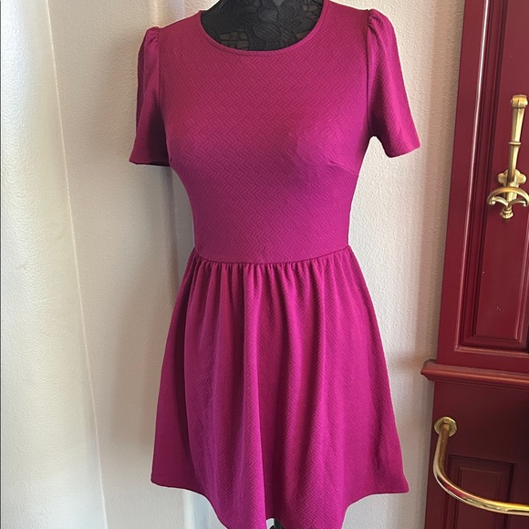 Forever 21 Dresses & Skirts - Forever 21 Magenta Skater Dress